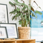 HMF 37280-14CM+19CM+25CM Blumentopf rund geflochten 14+19 + 25 cm Durchmesser, 2er Set